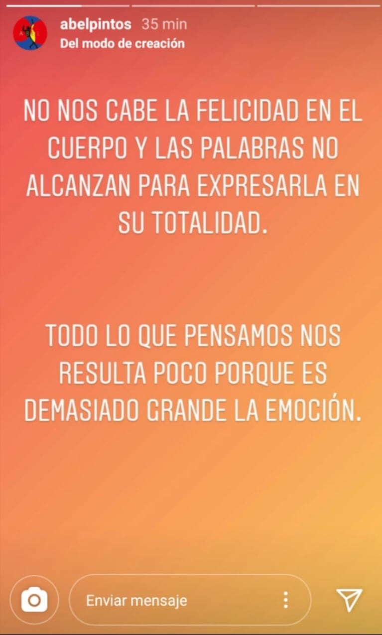 Abel Pintos anunció que se convertirá en papá con una catarata de tiernas stories: "No nos cabe la felicidad en el cuerpo"