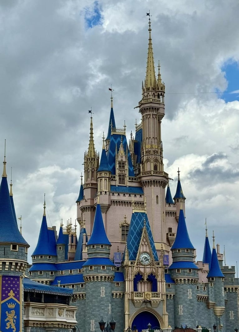 Antonela y sus hijos pasaron el día en Disney.