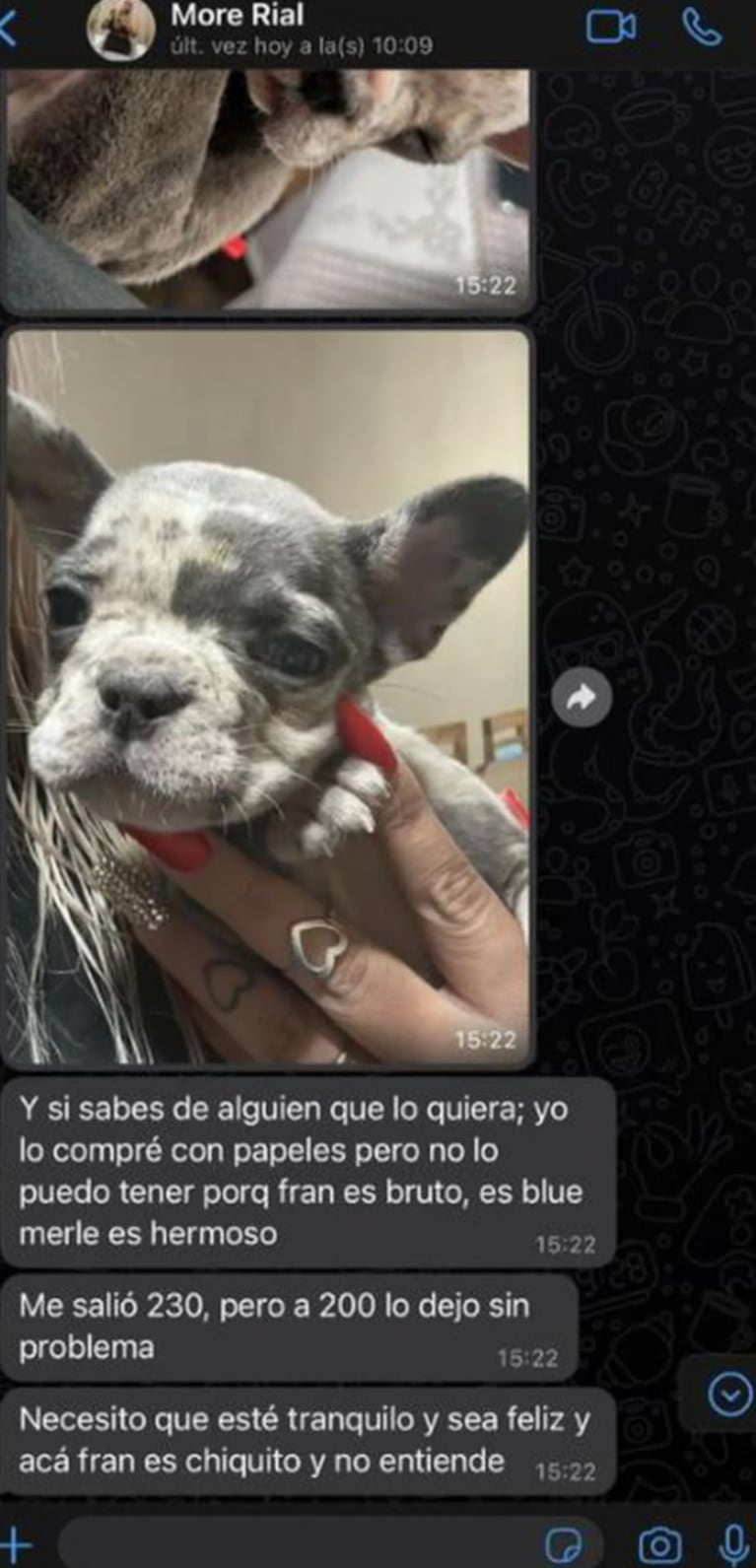 Aseguran que Morena Rial vende a su perro por una alta suma de dinero: filtraron los chats donde lo ofrece