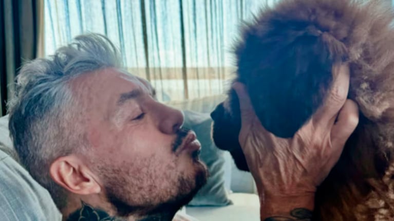 Así está hoy Bruno, el perro de Marcelo Tinelli que cumplió 3 meses.