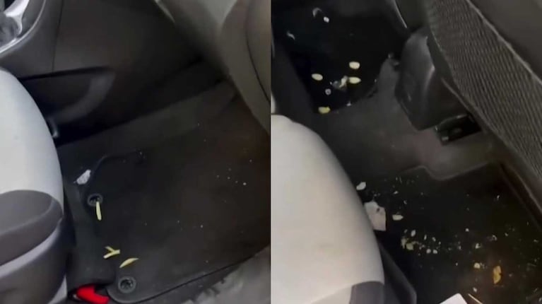 Así quedó el interior del auto de canje que Morena Rial tardó semanas en devolver (Fotos: capturas América TV)