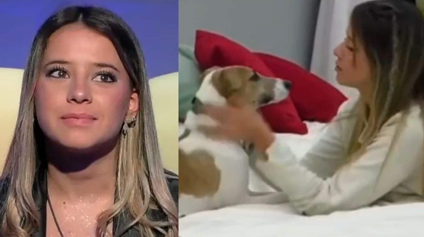 Así reaccionó Arturo, el perro de Gran Hermano, cuando Zoe Bogach se fue de la casa.