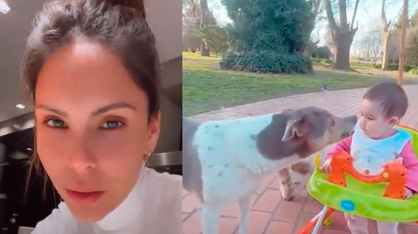 Barby Franco reaccionó sin filtro contra quienes la criticaron por dejar jugar a Sarah Burlando con su perro.