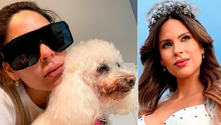 Barby Franco volvió angustiada a las redes y reveló de qué murió su perrita.