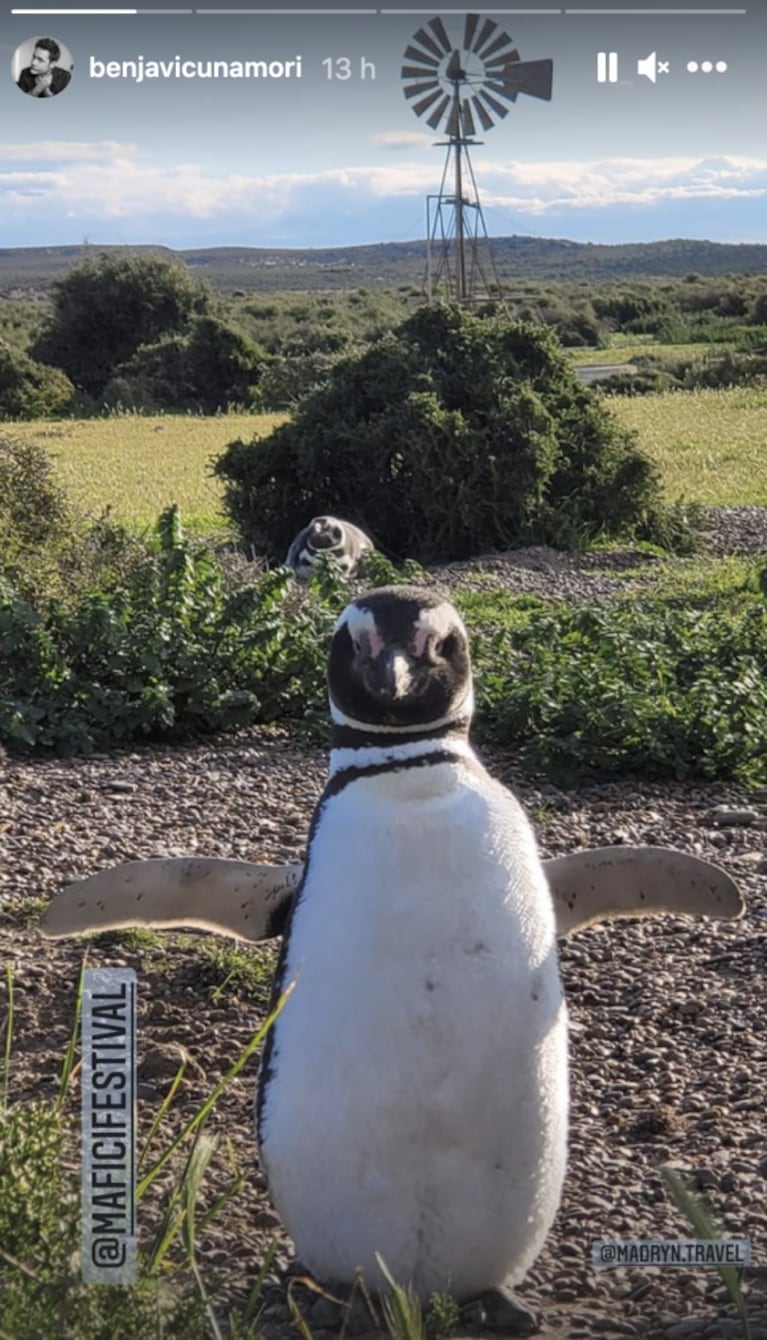 Benjamín Vicuña mostró cómo vivió su fin de semana de soltero en Puerto Madryn: visita a un festival de cine y relax en la naturaleza