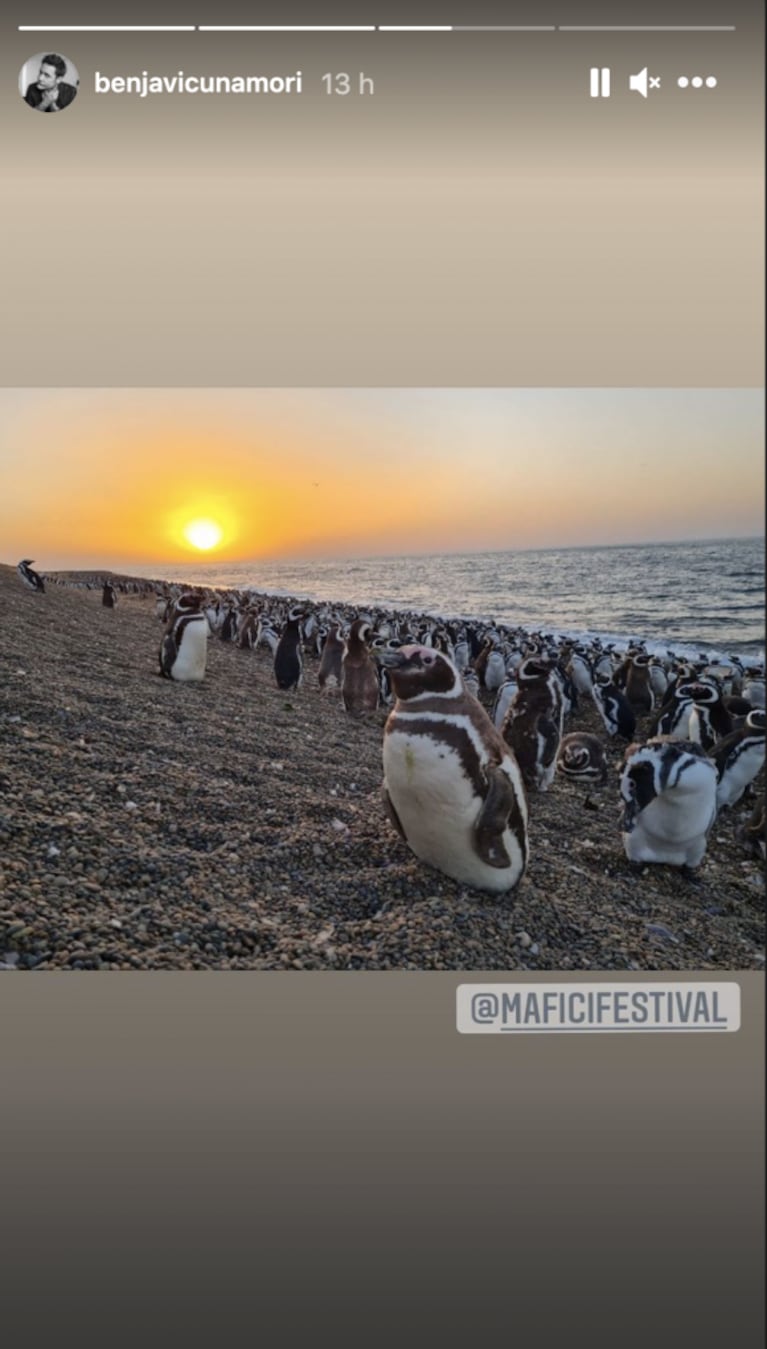 Benjamín Vicuña mostró cómo vivió su fin de semana de soltero en Puerto Madryn: visita a un festival de cine y relax en la naturaleza