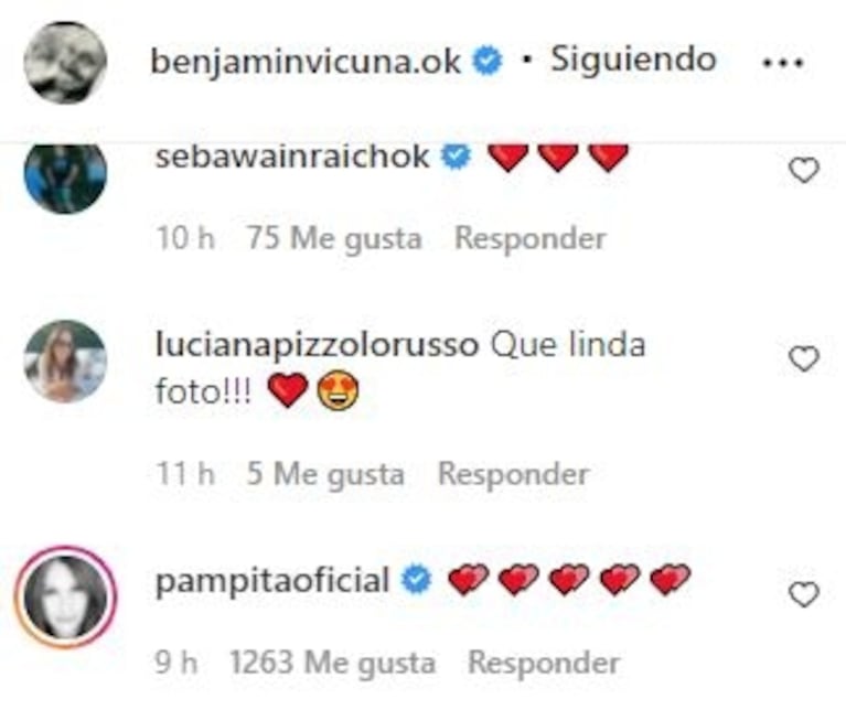 Benjamín Vicuña publicó una foto con sus cinco hijos y Pampita reaccionó con ternura: le puso muchos corazones