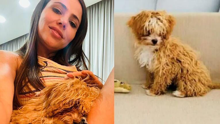 Caramelo, el perro de Romina Uhrig, fue a la peluquería canina y salió irreconocible.