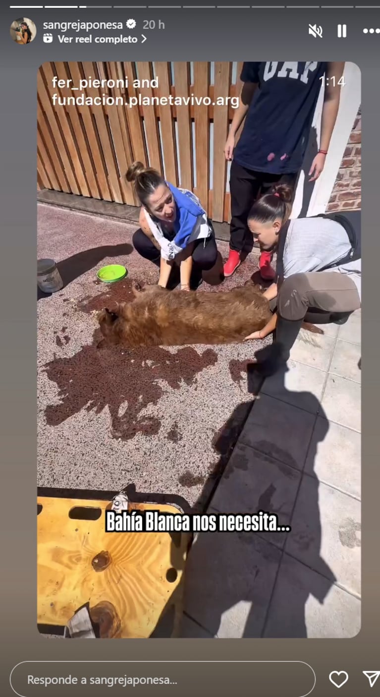 China se mostró solidaria con Bahía Blanca. Foto: IG | sangrejaponesa