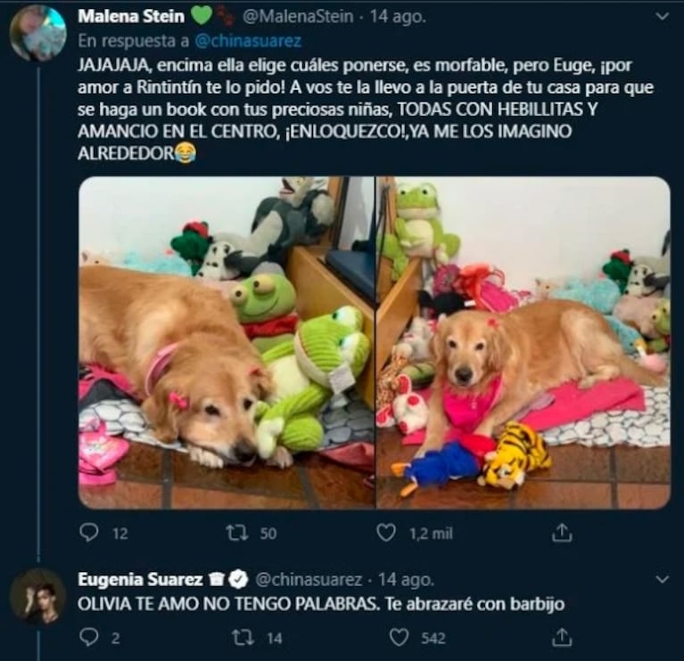 China Suárez, 'derretida' al ver a una perra ¡que saca a pasear a sus peluches!: "No respondo de mí"