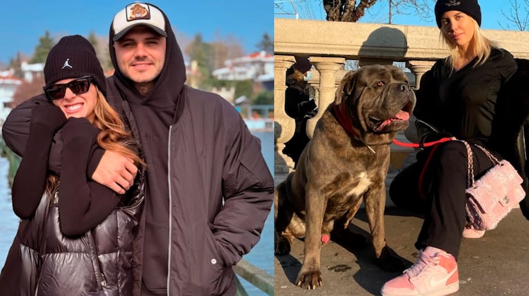 China Suárez salió a pasear con Tano, el perro de Mauro Icardi y Wanda Nara. Foto: IG | mauroicardi y wanda_nara