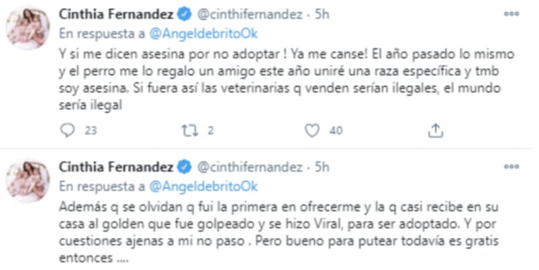 Cinthia Fernández se hartó de las críticas que recibió por querer comprar un perro en vez de adoptar: "¡Me dicen asesina!"