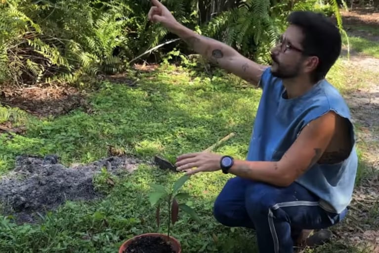 Con los restos de placenta de Amaranto, se planó un arbol de mango.