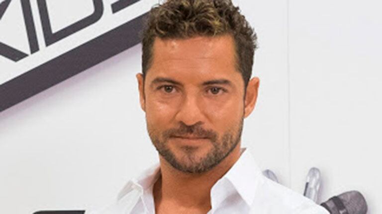 David Bisbal