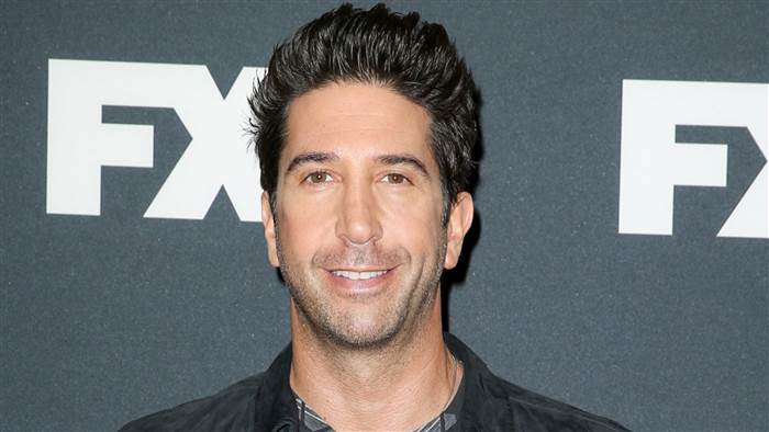 David Schwimmer: su carrera  después de Friends