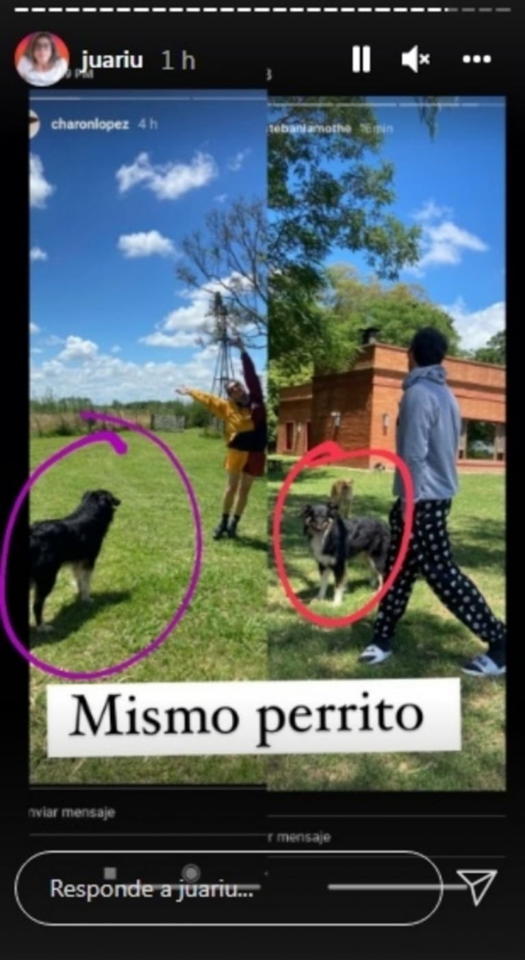 Descubrieron que Esteban Lamothe está de novio con una conocida humorista: "Es el mismo lugar y perritos"