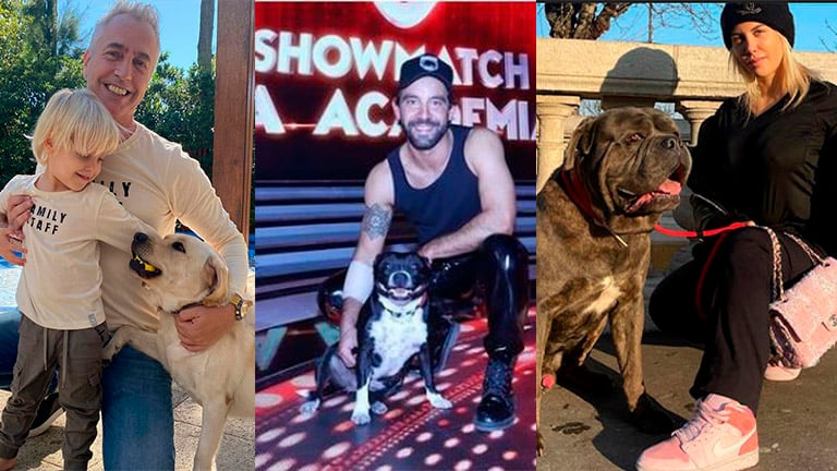 Día del Animal: las 5 mascotas influencers de los famosos