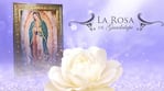 Dolor: murió Iliana de la Garza, la famosa actriz de “La Rosa de Guadalupe”