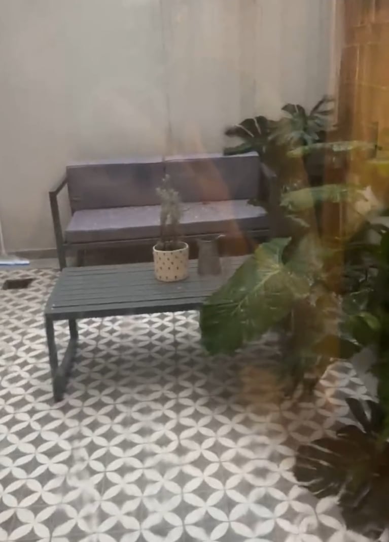 Dominique decoró su patio trasero con una planta Monstera.