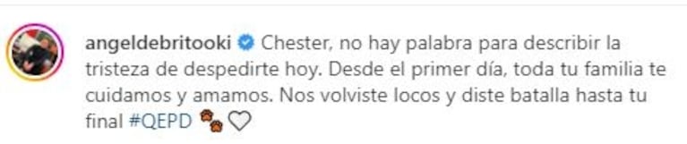 El desgarrador posteo de Ángel de Brito por la muerte de su mascota: "Diste batalla hasta tu final"