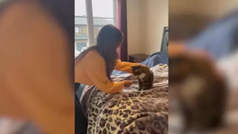 El emotivo reencuentro de esta gata con su dueña tras las vacaciones