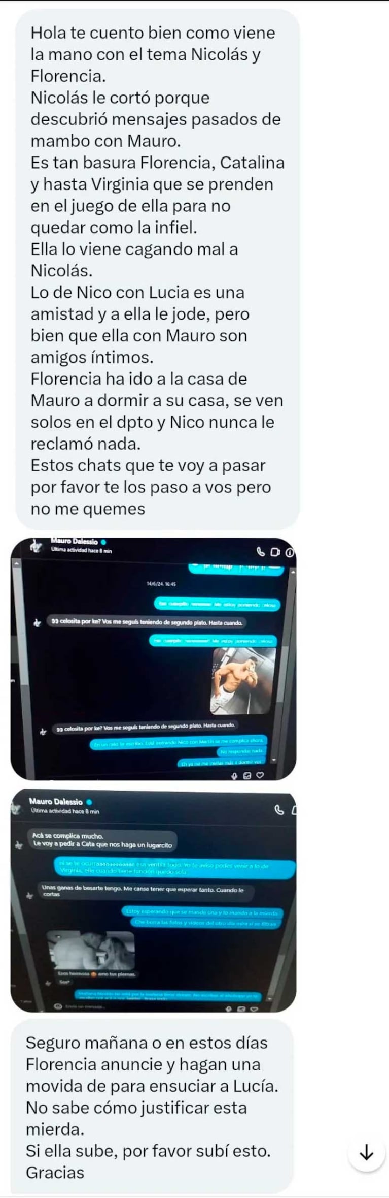 El osado chat entre Florencia y Mauro de Gran Hermano (Foto: Instagram)