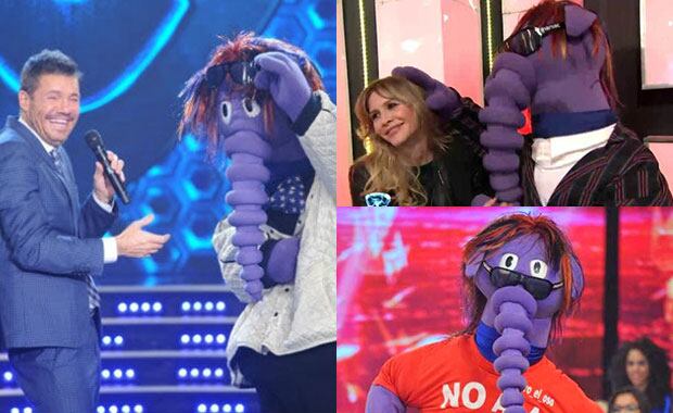 ¡El Oso Arturo vuelve a ShowMatch el lunes! (Fotos: Ideas del Sur y Captura). 