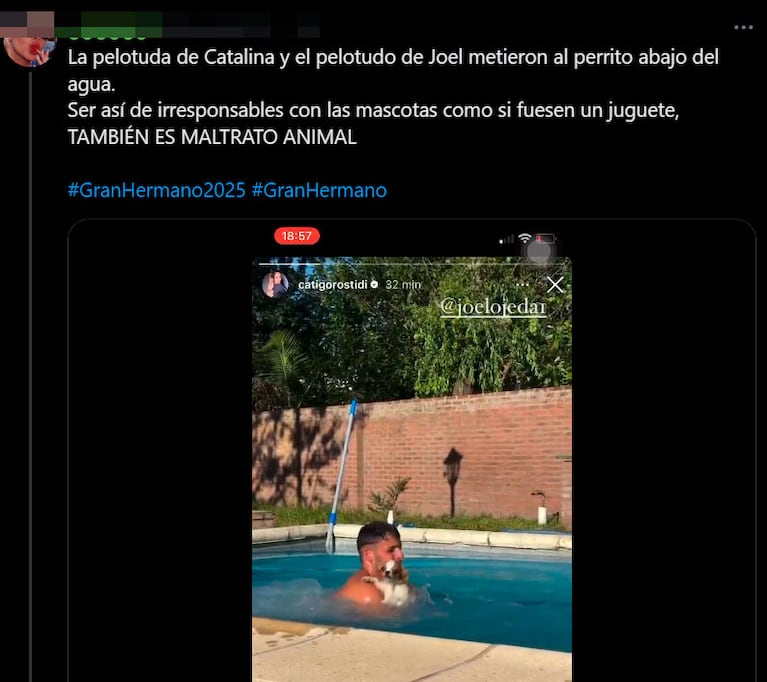 El polémico video de Joel de Gran Hermano por el que lo acusaron de maltrato animal: “Salió desesperado”