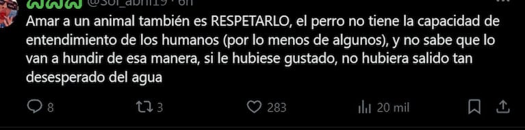 El polémico video de Joel de Gran Hermano por el que lo acusaron de maltrato animal: “Salió desesperado”