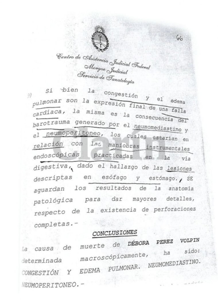 El primer informe de la autopsia a Débora Pérez Volpin complica al endoscopista: "La falla cardíaca estaría en relación con las maniobras instrumentales"