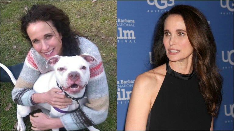 El tweet de Andie MacDowell que desató la indignación en Twitter