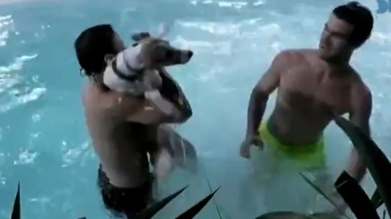 El video del tremendo accidente de Arturo en Gran Hermano: el perro se cayó a la pileta y Bautista lo salvó