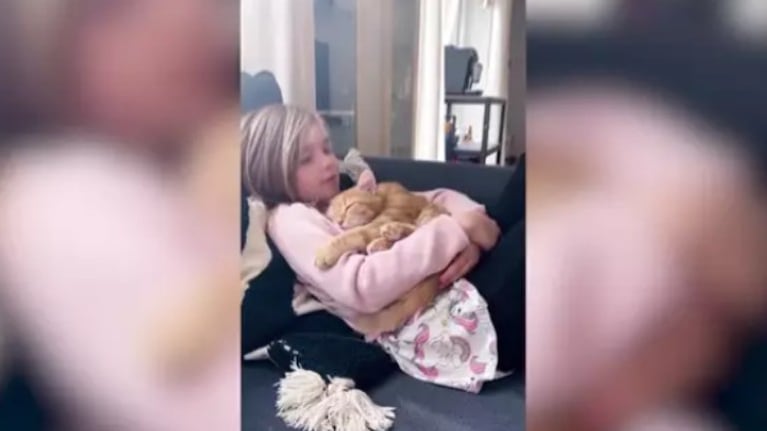 Esta es la tierna amistad entre una niña y su gato