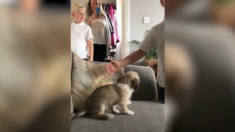 Este cachorro sorprendió a dos hermanos