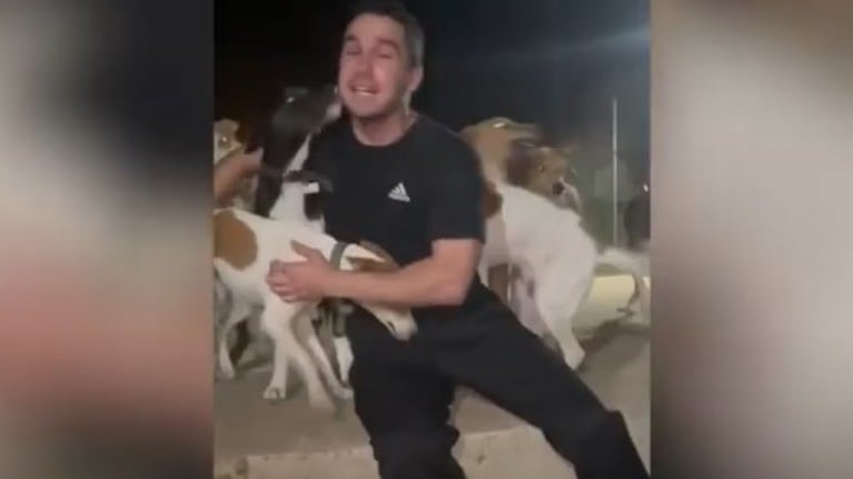Este hombre viajó a una granja de carne en Ghana donde ha rescatado a más de 50 perros que iban a ser sacrificados