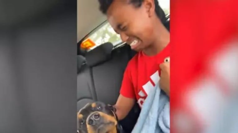 Este joven con pánico a los perros reacciona despavorido cuando se le acerca un rottweiler