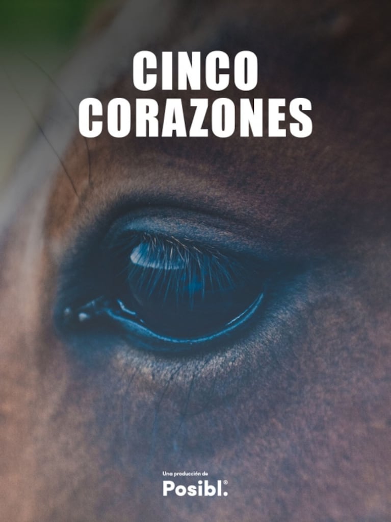 Flow estrena "Cinco Corazones", el documental contra el maltrato animal de caballos en la Argentina