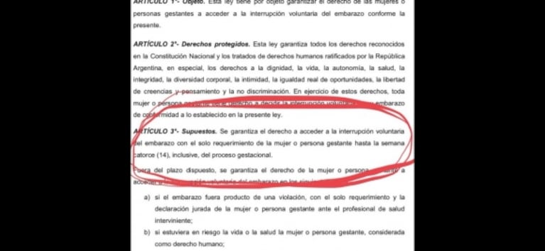 Fuerte debate en Twitter de Recondo con Rial, Flor Peña y Carla Peterson por la despenalización del aborto