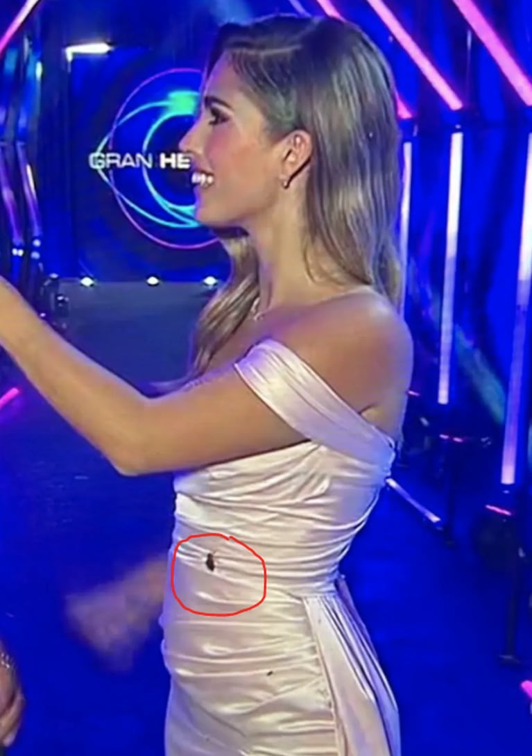 Gran Hermano 2023: los fumigadores criticaron a Telefe por las cucarachas que acosaron a Julieta Poggio