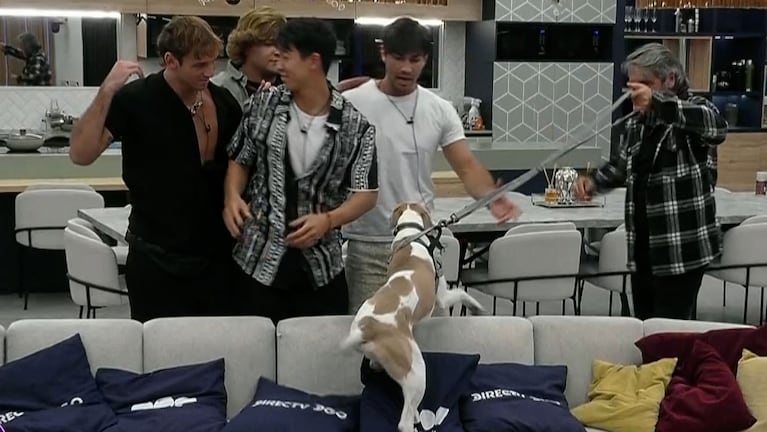 Gran Hermano 2023: qué pasará con el perro Arturo tras la eliminación de Martín Ku