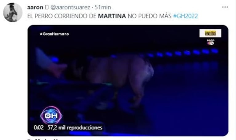 Gran Hermano: Martina lloró al reencontrarse con su perro Atilio, que no la reconoció