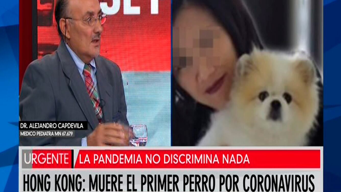 Muere el primer perro por coronavirus