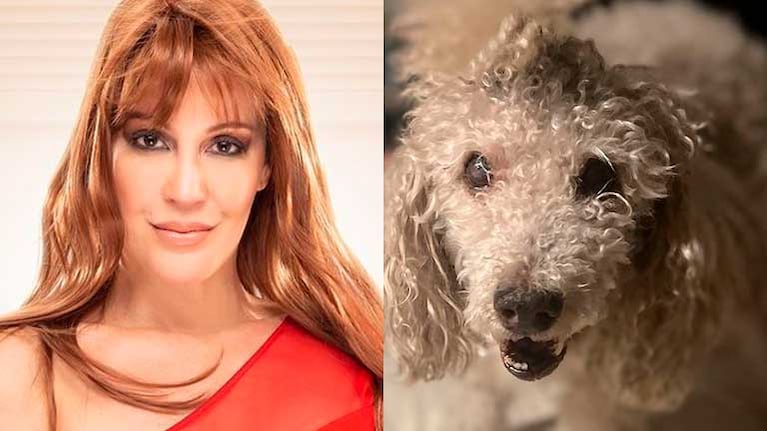 Miriam Lazoni mostró la devoción que tiene por su perrito de 18 años