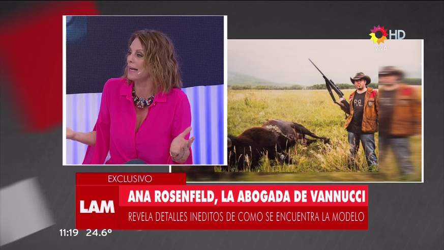 La polémica frase de Ana Rosenfeld, la abogada de Victoria Vanucci y Matias Garfunkel en Los Ángeles de la Mañana: "Cazaron animales enfermos"