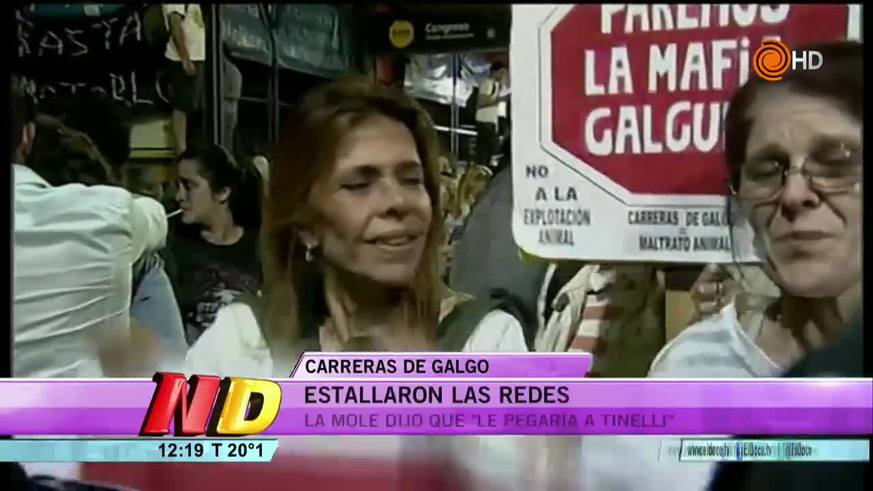 La Mole Moli dijo que le pegaría a Tinelli por la prohibición de las carreras de galgos: la respuesta del conductor y su hija Candelaria