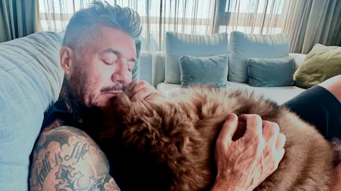 Marcelo Tinelli mostró la "macana" que se mandó Bruno, su perro: el video