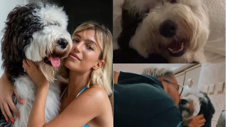 El tierno video del reencuentro de Stefi Roitman con su perro