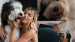 El tierno video del reencuentro de Stefi Roitman con su perro