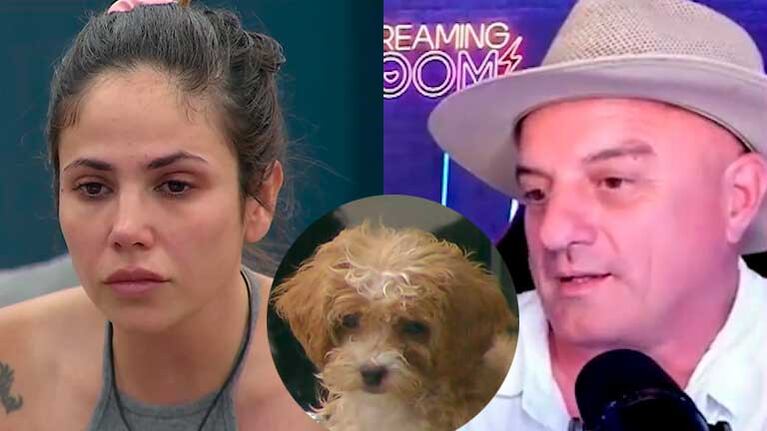 La dura advertencia del veterinario de Gran Hermano a Romina por Caramelo: "No es un juguete"