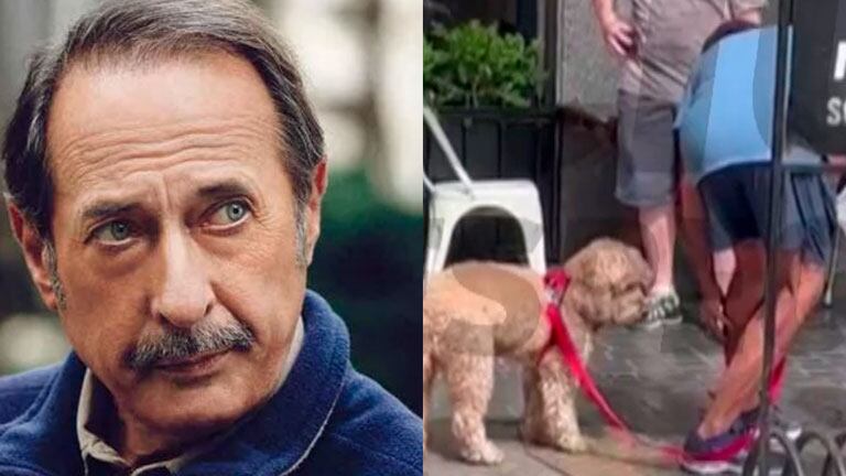 El video de Guillermo Francella, enojado tras ser mordido por un perro en la calle